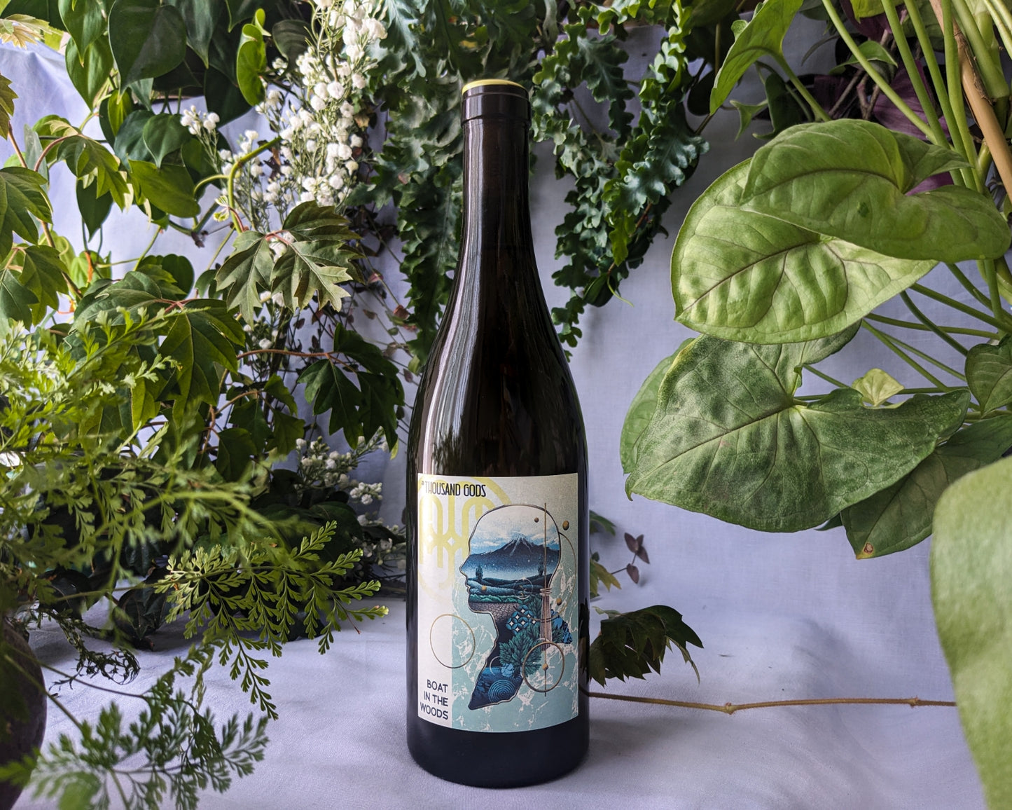 2023 Boat in the Woods Viognier